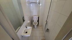 Royal Palm Mansions (D5), Condominium #450199951